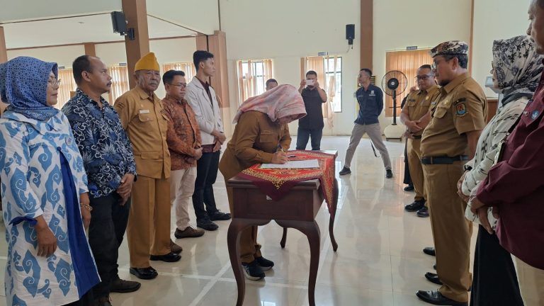 WhatsApp Image 2026-01-06 at 10.47.20